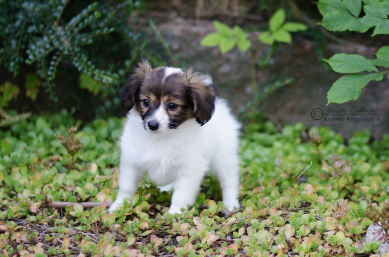 Yasmine True Heart - Booked