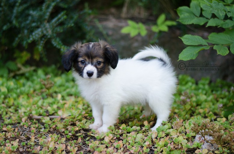 Yoshi Yamashima - Booked