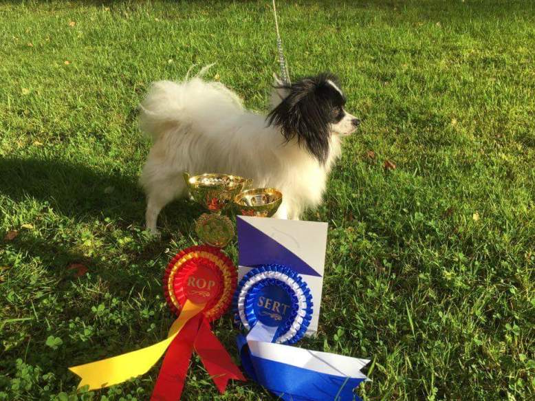 13934888_10206881044890986_7952642942723578607_n