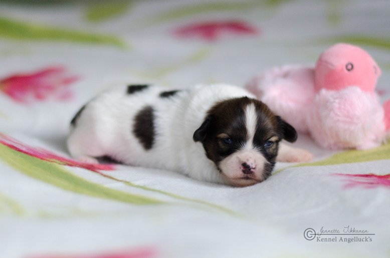 Jonna_2v_20200503_0025-as-Smart-Object-1